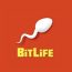 BitLife